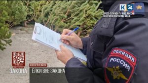 Полицейские пресекли незаконную продажу елок в Новороссийске