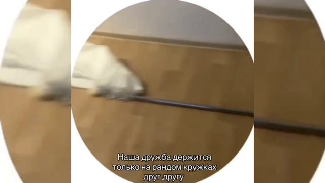 TIK TOK MEMES COMPILATION #1 смотреть онлайн