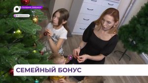 Семейная налоговая выплата начнёт действовать в Приморье с 1 января 2026 года