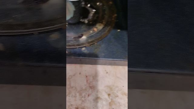 Я просто захотела сделать необычное какао!!! смотреть онлайн