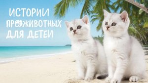 РАЗВЛЕКАТЕЛЬНОЕ ВИДЕО ДЛЯ ДЕТЕЙ