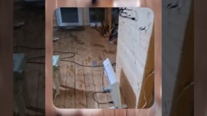 1000043313.mp4 (Собака наблюдает за лайфхаками при строительстве дома А-фрейм)