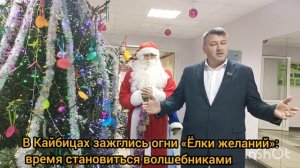 В Кайбицах зажглись огни «Ёлки желаний»: время становиться волшебниками