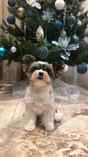 Какой гулять, иду только в сторону Дома)