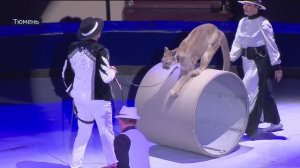 Премьера новогоднего шоу состоялась в Тюменском цирке