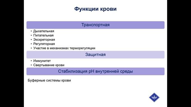Лекция 2.Возрастная анатомия смотреть онлайн