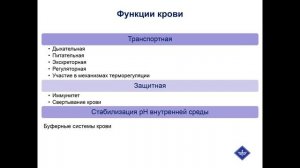 Лекция 2.Возрастная анатомия
