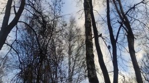 23 декабря - ждите солнце 🌞