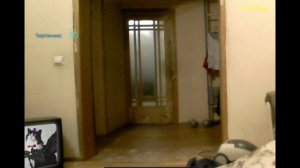 Пять ночей с Барсиком - вирус