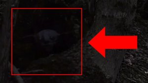 Страшное существо похожий на смеагол снят на камеру в глухой лесу