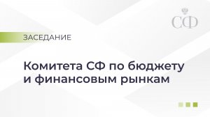 Заседание Комитета Совета Федерации по бюджету и финансовым рынкам