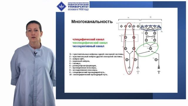  смотреть онлайн
