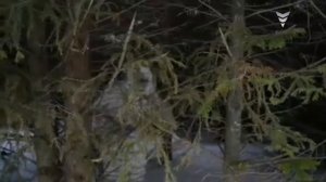 Анонс "Снежный человек" (ИТК "Остросюжетное HD", 23.12.2025)