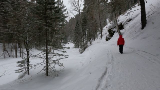 Белокуриха 2022г. март , тропа здоровья смотреть онлайн