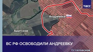 ВС РФ освободили Андреевку