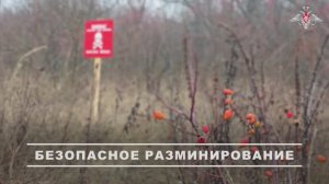 Дистанционное разминирование в районе Гуляй-поле