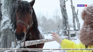 Новогодний праздник для детей участников СВО организовали волонтеры в конном клубе "Ласточка"