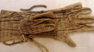 Апельсин. Опрос. Варежки или перчатки. 24-12-2025