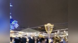 Архив . Воронеж . Елка города