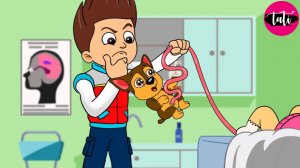 Щенячий патруль и Маршалл. Залипательное видео. Мультфильм для детей и малышей. Анимация