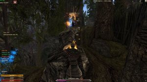 Джонни, они на деревьях!