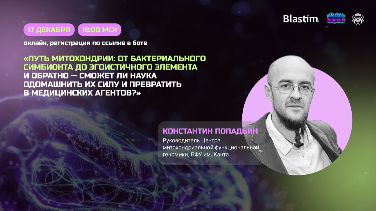 Путь митохондрии: от бактериального симбионта до эгоистичного элемента и обратно? | БИОмечтатели
