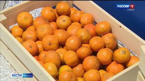 Вести-Томск, выпуск от 22.12.2025 21:10