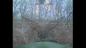 Донбасс. Расчетами FPV-дронов Центра «Рубикон» был поражен танк Т-64 ВСУ