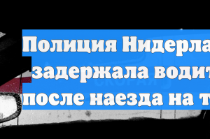 В Нидерландах автомобиль врезался в толпу зрителей праздничного шоу