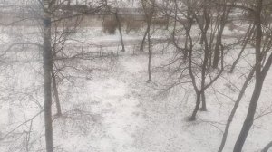 23 декабря - обещанный снег ❄️ от волшебника 🧙....и он до весны не растает....