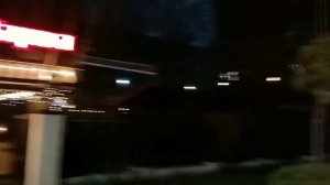 Застригаю форму.Ростов.🌳✂️Обрезка.