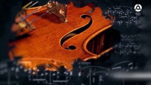 История вещей. Скрипка