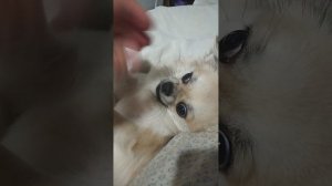 КАК РОСЛА СОНЯ .....