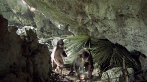 Голые и напуганные 7 сезон 6 серия (реалити-шоу, 2017)