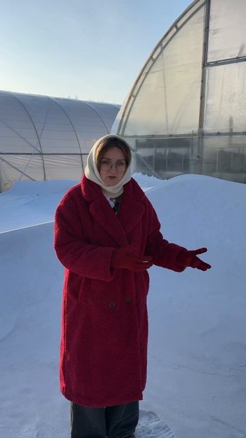 НУЖНО ЛИ ЗАНОСИТЬ СНЕГ В ТЕПЛИЦУ? смотреть онлайн