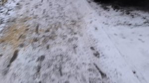 Иногда хочется помолчать...Иду в магазин.