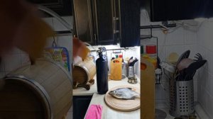 Быстрая карбонизация  пива с минимальным оборудовани?