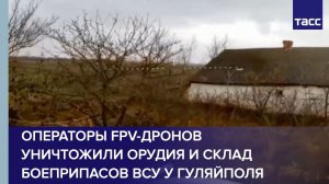 Операторы FPV-дронов уничтожили орудия и склад боеприпасов ВСУ у Гуляйполя