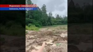 Новости Сегодня 23122025 - Катаклизмы ЧП События дня Россия Индия США Китай Европа