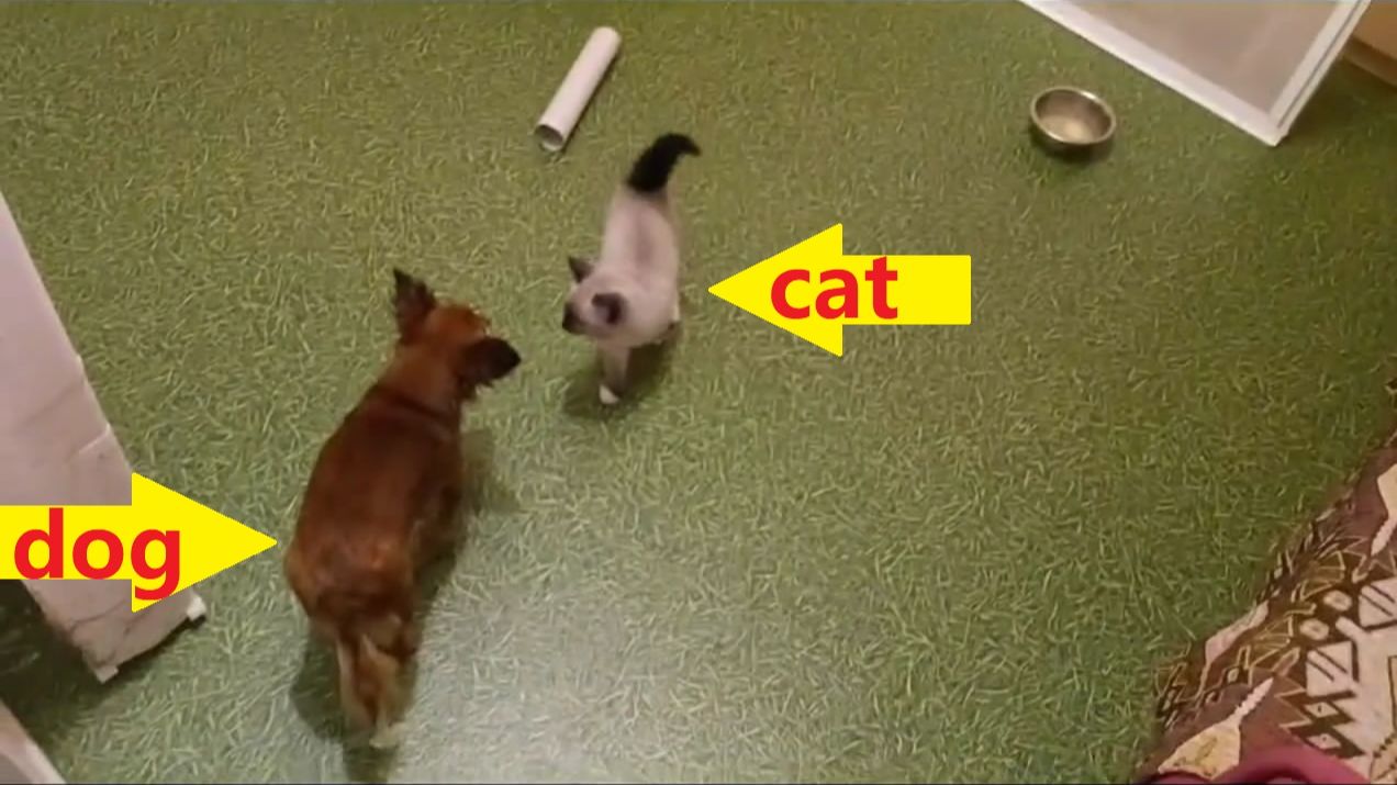 Борьба за место