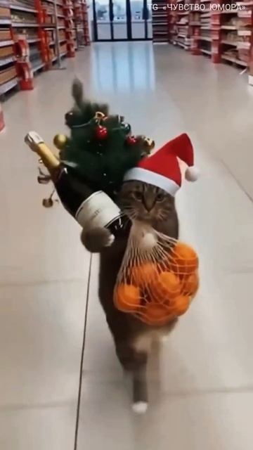 Три самых популярных товара в эти дни смотреть онлайн