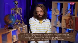 Как развлекались наши древние предки. Дробышевский. Человек разумный