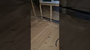 1000043259.mp4 (Собака наблюдает за лайфхаками при строительстве дома А-фрейм)