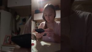 делаю крутой чехол на телефон