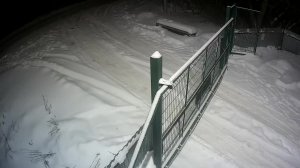 СНТ - Тест трансляции с камеры