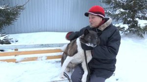 Ищу тебя, хозяин