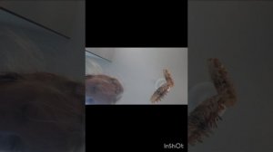 пробуем разное