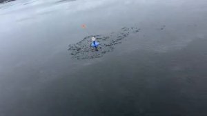 ПЕРВЫЙ ЛЁД 2025-2026…. Ловля щуки на ЖЕРЛИЦЫ