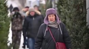 ёлочки сосёночки