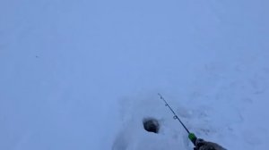 Щука и окунь на вибы. Рыбалка с дедом.